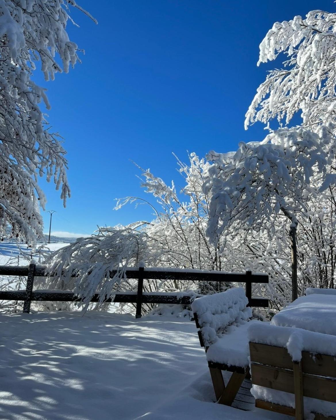 Chalet Cosy Entre Lacs Et Montagnes Métabief Екстериор снимка
